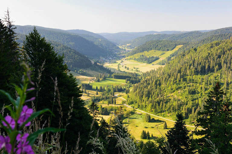 Menzenschwander Geißenpfad: Hochschwarzwald in Baden-Württemberg