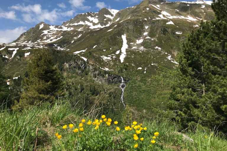 Saubere Berge - unterwegs im Mölstal in den Tuxer Alpen.