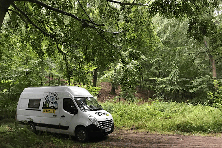 Lauras Schlafplatz im Wald von Møns Klint