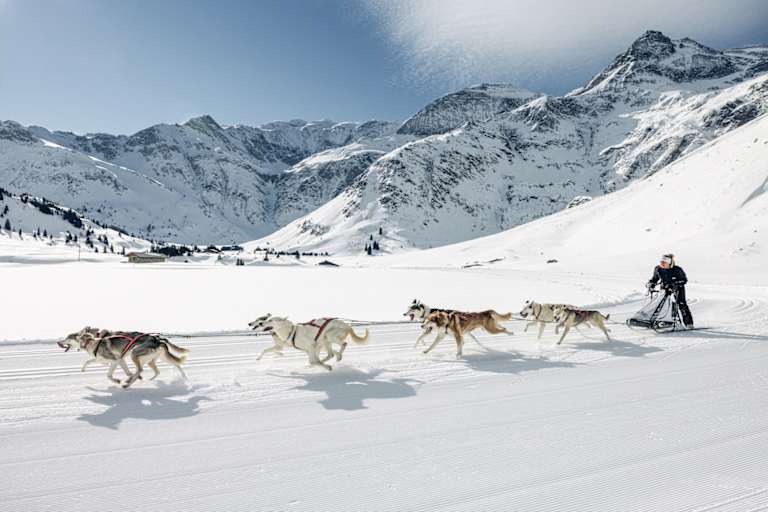 Manuela Petutschnig mit Hundeschlitten