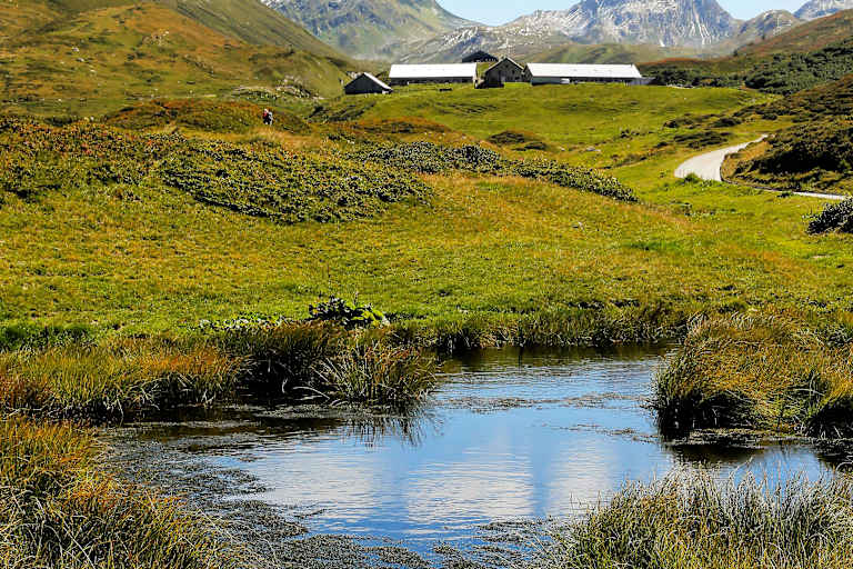 Tessiner Alpen: Entlang des Naturlehrpfads im Pioratal