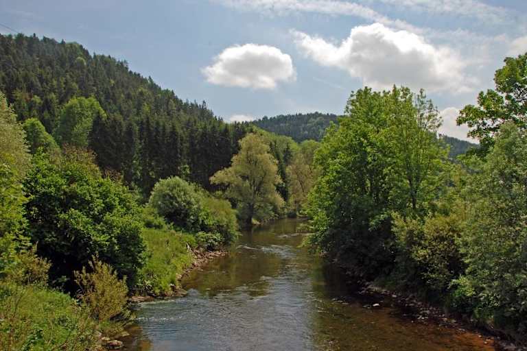 5 Wanderungen im Schwarzwald