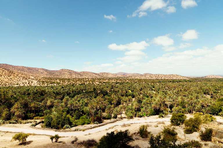 Blick auf die Oase von Tioute in Marokko