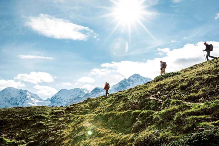 Wanderer auf weiten Almen mit Blick auf den Ortler