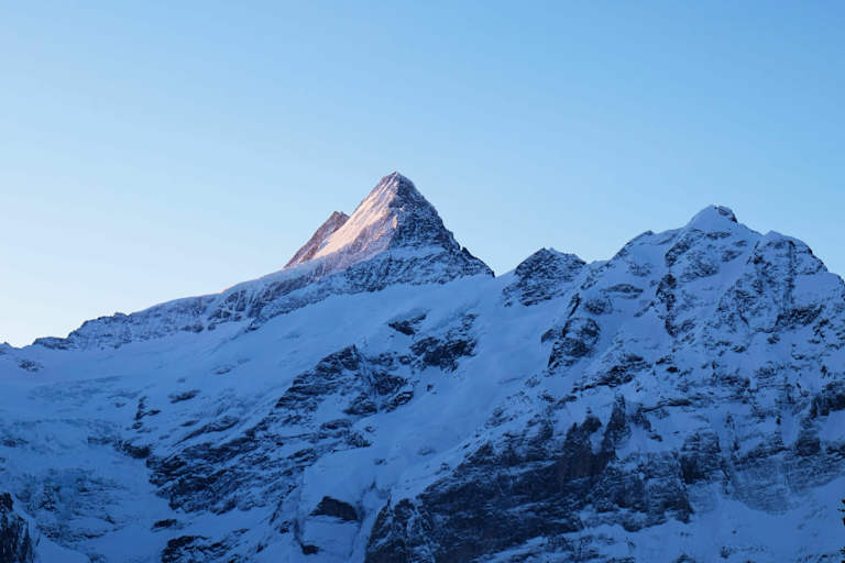 Grindelwald: Blick aufs Schreckhorn in den Berner Alpen