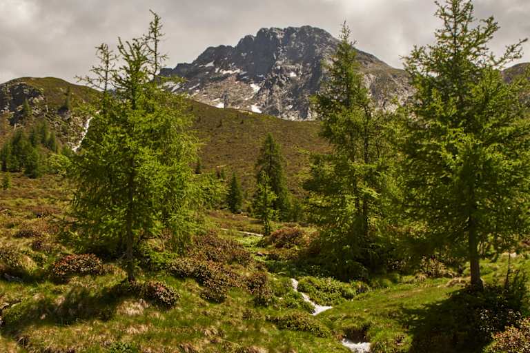 Ein Bach kreuzt den Weg Richtung Mahd-Alm.