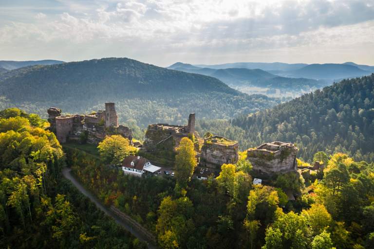 Die Burganlage Alt-Dahn