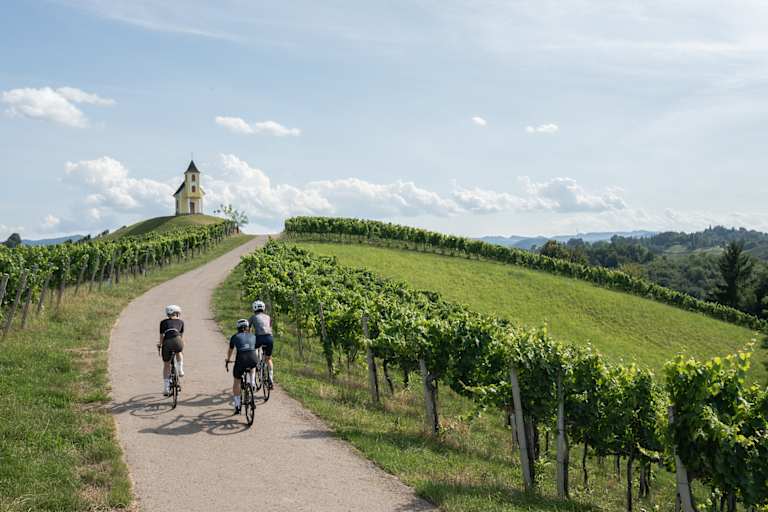 Drei Rennradfahrer radeln zwischen Weinbergen auf eine Kapelle zu.
