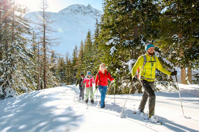 Vier Schneeschuhwanderer am Berg