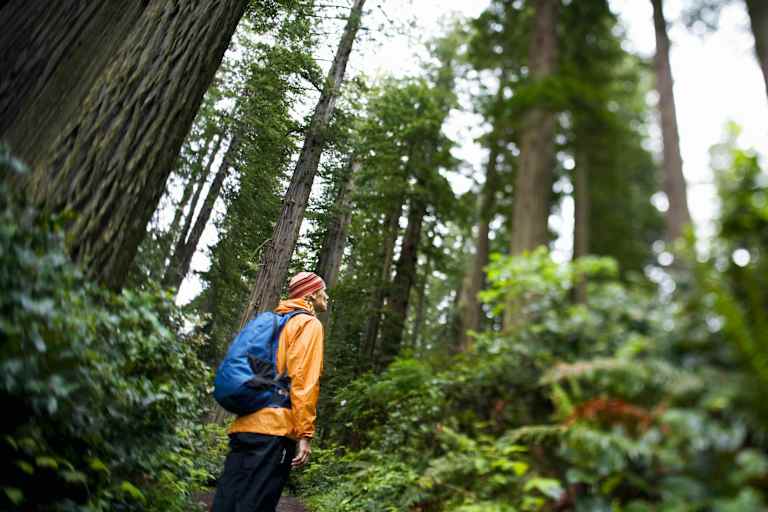 Wanderer bei Regen im Wald
