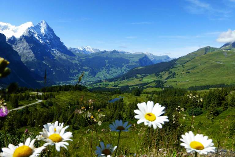 Rundwanderung in der Jungfrau-Region: Durchs Reichenbachtal im Berner Oberland