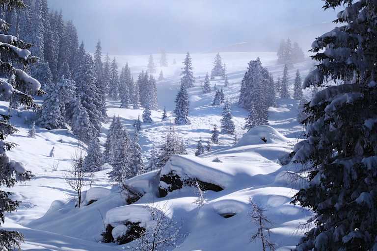 Kitzbüheler Alpen: Schneegrubenspitze in der Kelchsau