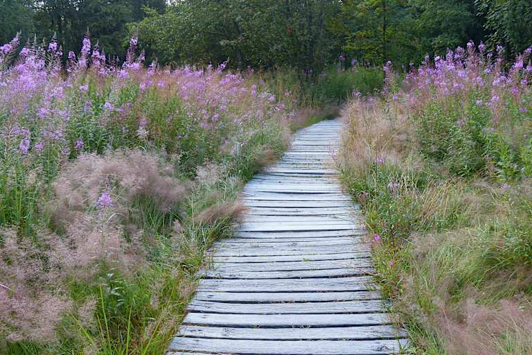 Wandern im Naturpark Bayerische Rhön