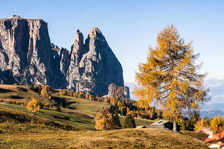 Seiser Alm im Herbst
