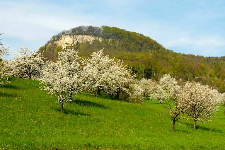 Wandern im Baselland: Sissacherflue