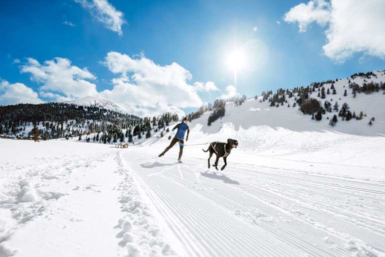 Anna Milazzi und ihr Hund Finn auf der Loipe