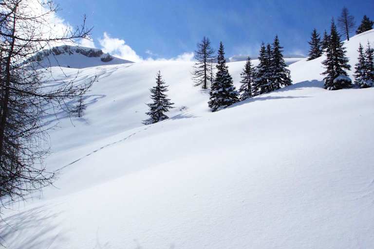 Salzburger Land: Gelände bei Kleinarl