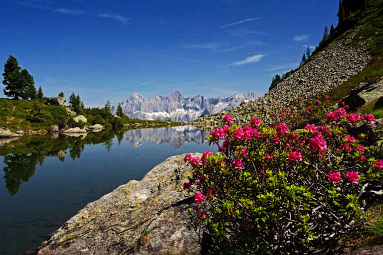 Der Mittersee (Spiegelsee) im oberen Ennstal an der Grenze der Steiermark zu Salzburg