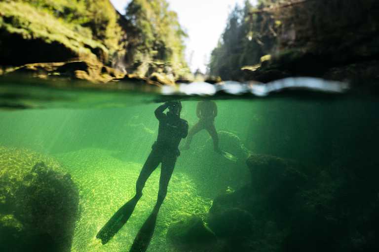 Zwei Schnorchler in der Traun.