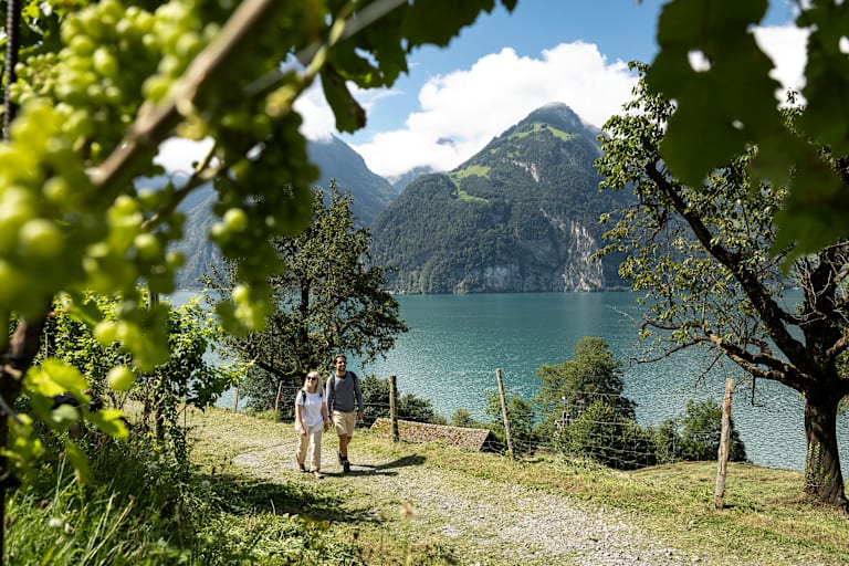 Ein Pärchen im Sommer in der Schweiz neben dem See in der Natur.