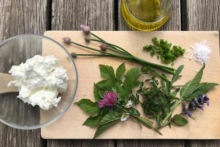 Kochen mit Wildkräutern