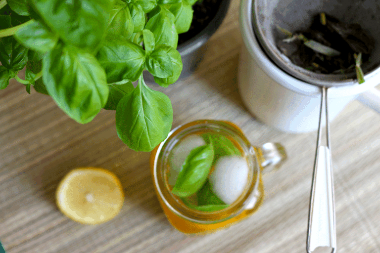 Selbstgemachter Eistee mit frischen Kräutern