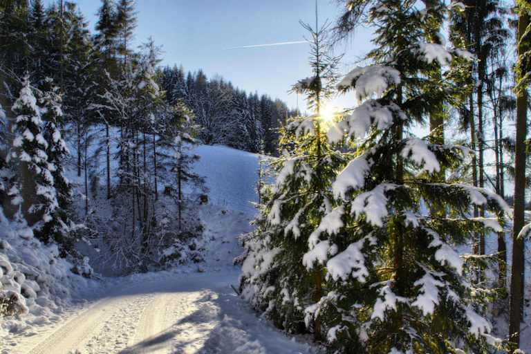 Winterwanderweg Vierawasch: Wandern bei Mühlbach am Hochkönig in Salzburg