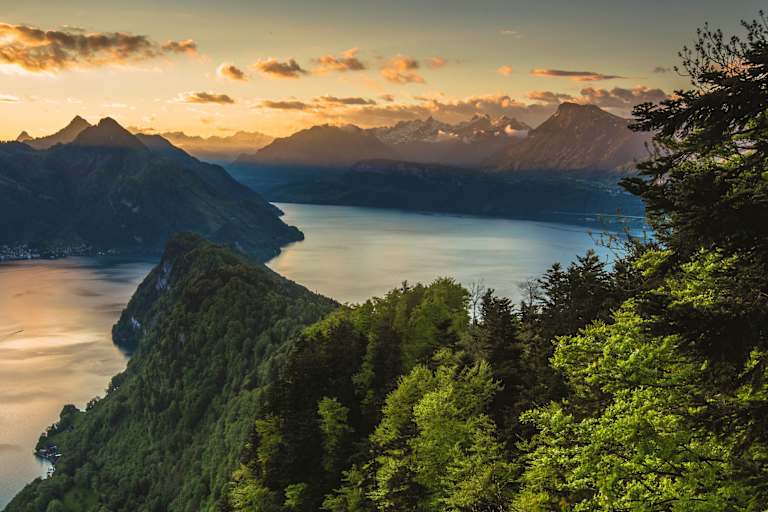 Waldstätter Weg: Von Brunnen nach Vitznau – hier mit Blick auf den Vierwaldstättersee