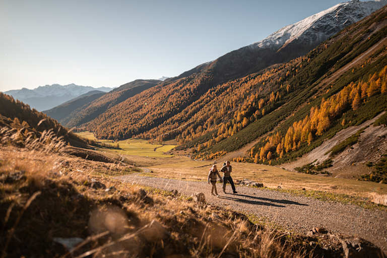 Im goldenen Licht erstrahlt der Vinschgau von seinen schönsten Seiten.