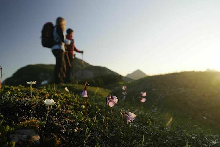 Wanderer in den Tannheimer Bergen in Tirol