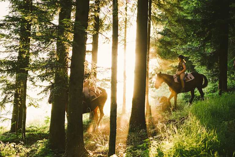 Reiten am Morgen durch den Wald