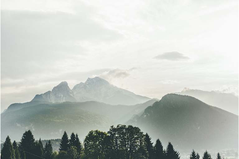 Die Familie Watzmann liegt im Nebel. 