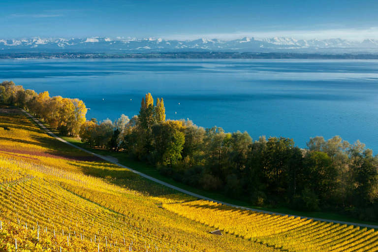 Rebberge und der tiefblaue Neuenburgersee mit Blick auf die Alpenkette