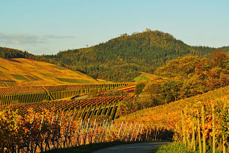Wandern durch die Weinberge des Remstals in Baden-Württemberg