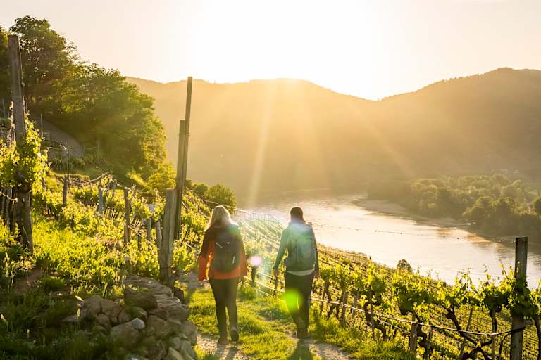 Durch die Weinrieden in Weißenkirchen