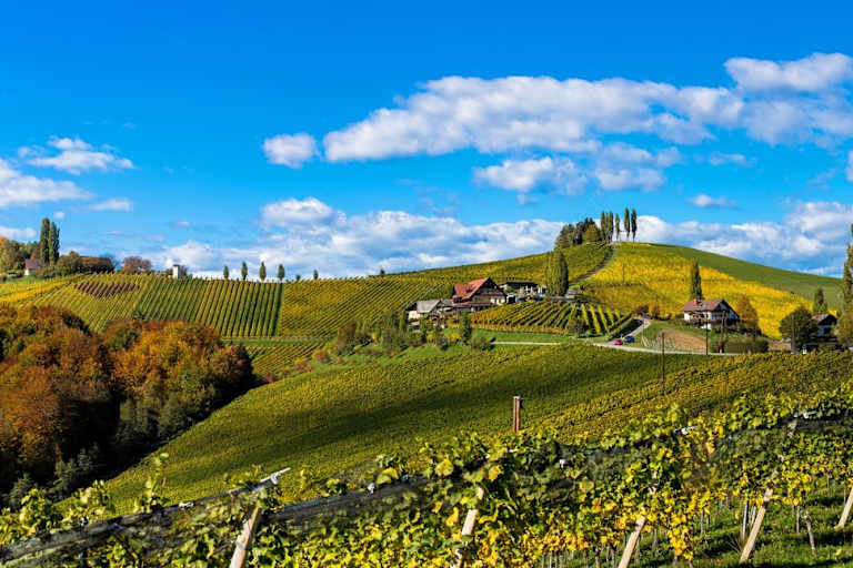 Wunderschöne Weinberge entlang der Südsteirischen Weinstraße 