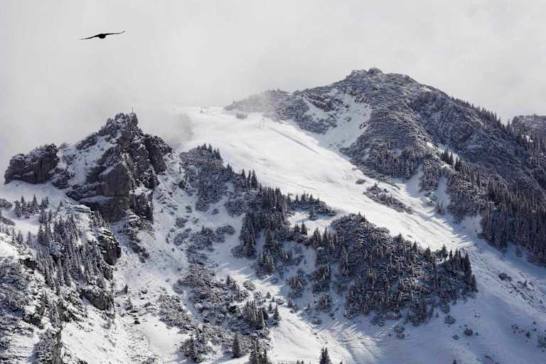 Bayerische Voralpen: Blick aufs Wildalpjoch im Winter