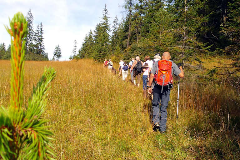 Wildschönau: Moorwanderung in Tirol