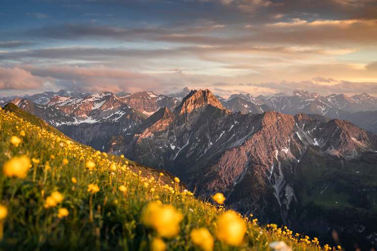 sommer in oberstdorf, berggipfel, blumenmeer