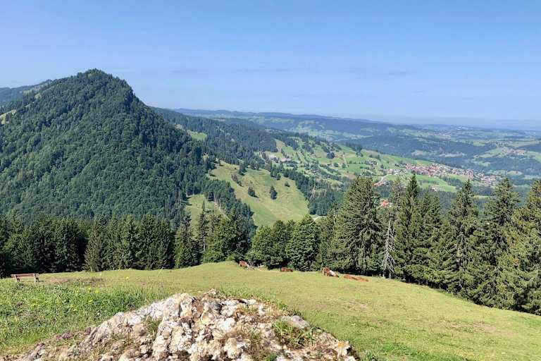 Blick auf Steibis vom Prodel