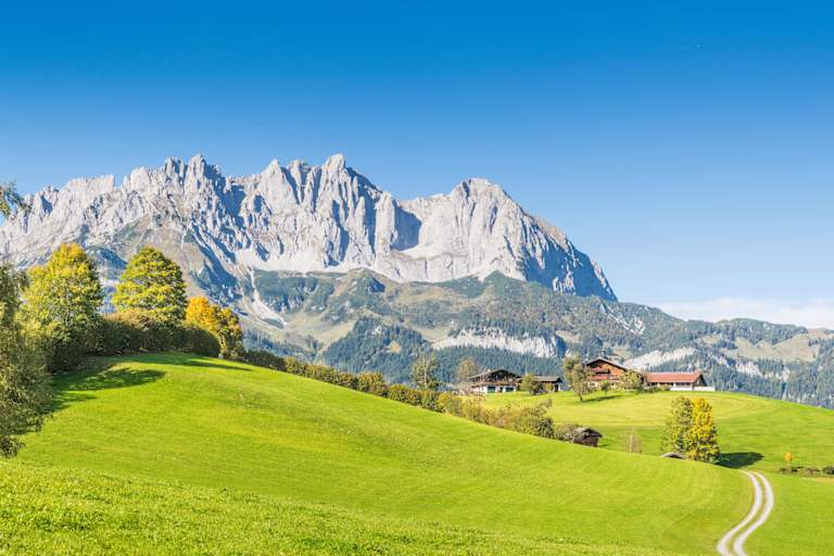 Ausblick auf den Wilden Kaiser