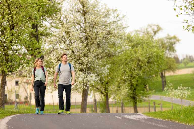 Herz des Mostviertel