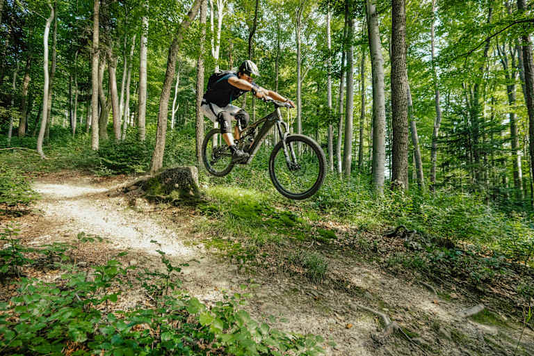 Der Elsbeere-Trail: kurz, idyllisch, verspielt