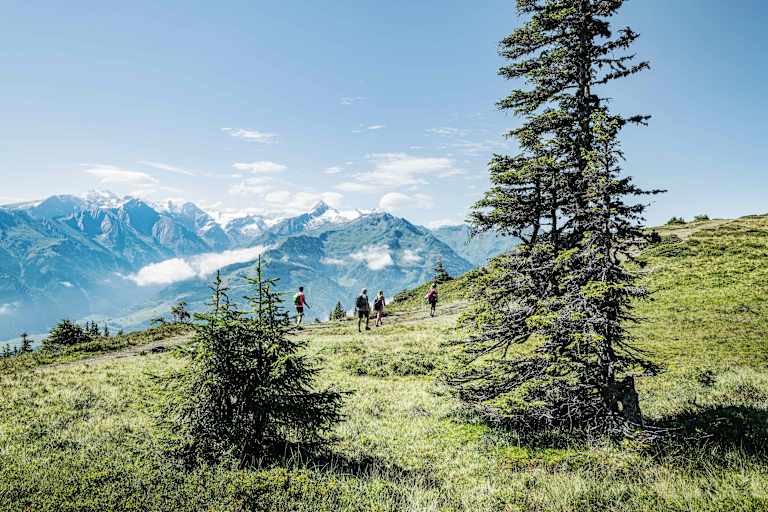 Am „Pinzgauer Spaziergang“ mit herrlicher Aussicht in den Nationalpark Hohe Tauern