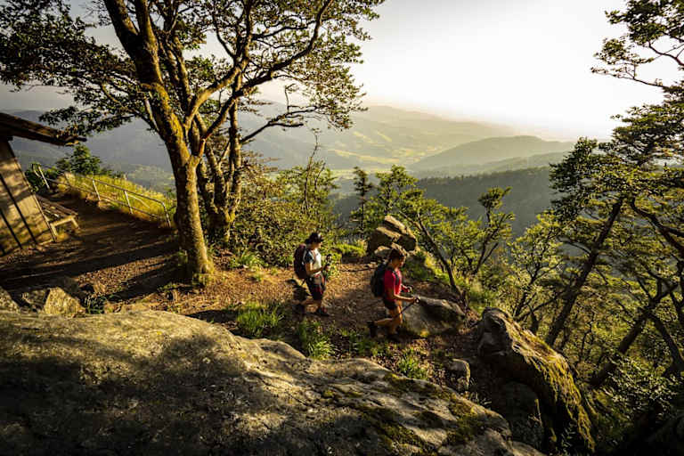 Zweitälersteig Etappe 1