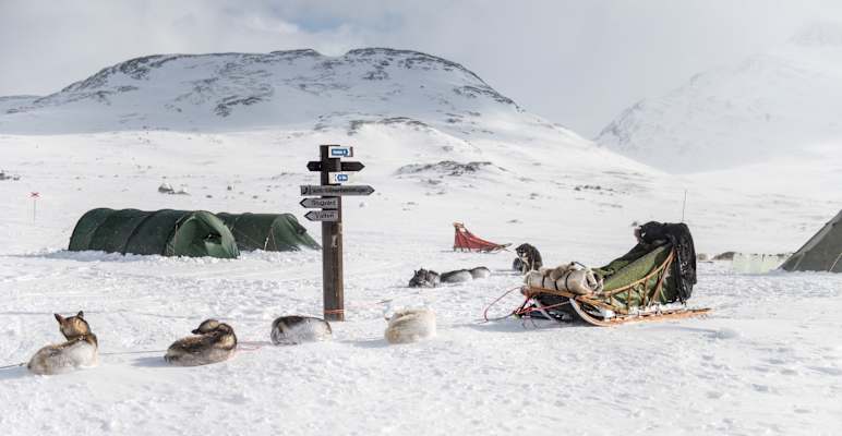 Langlaufen Skandinavien