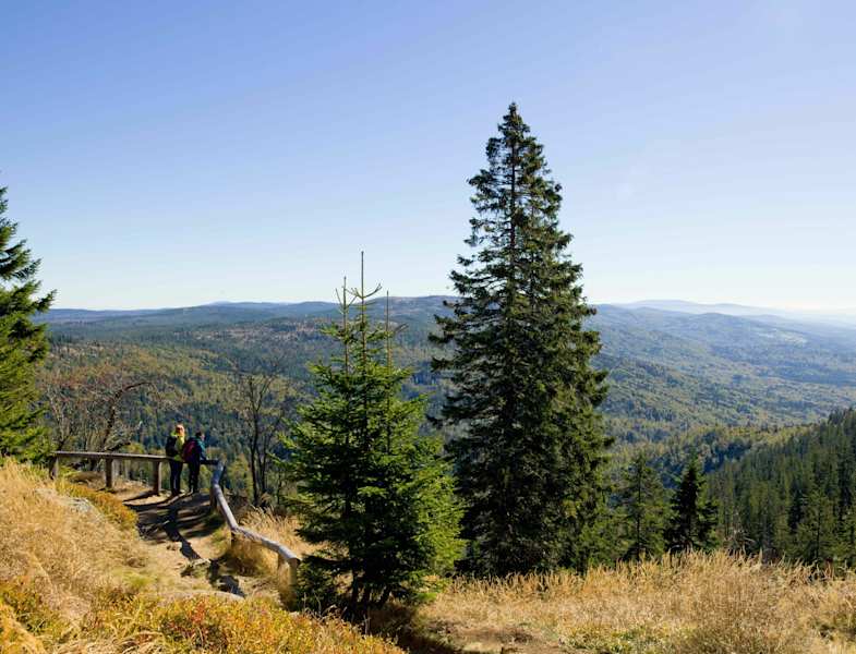 Wandern im Nationalpark Bayerischer Wald