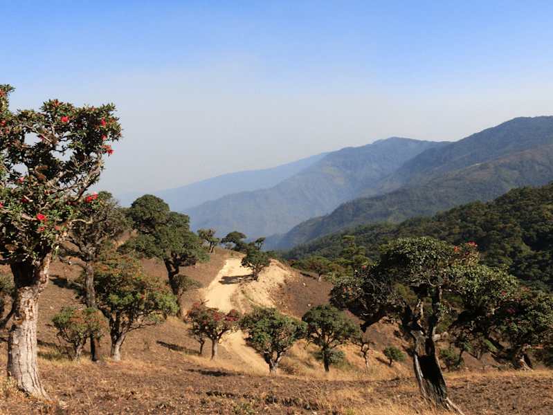 Myanmar Wandern Mt. Victoria