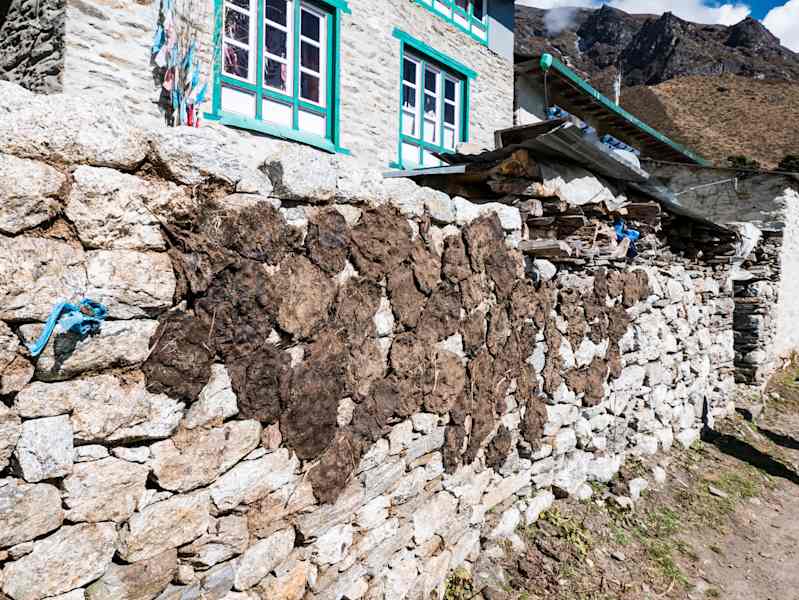 Nepal Kuh- und Yakfladen