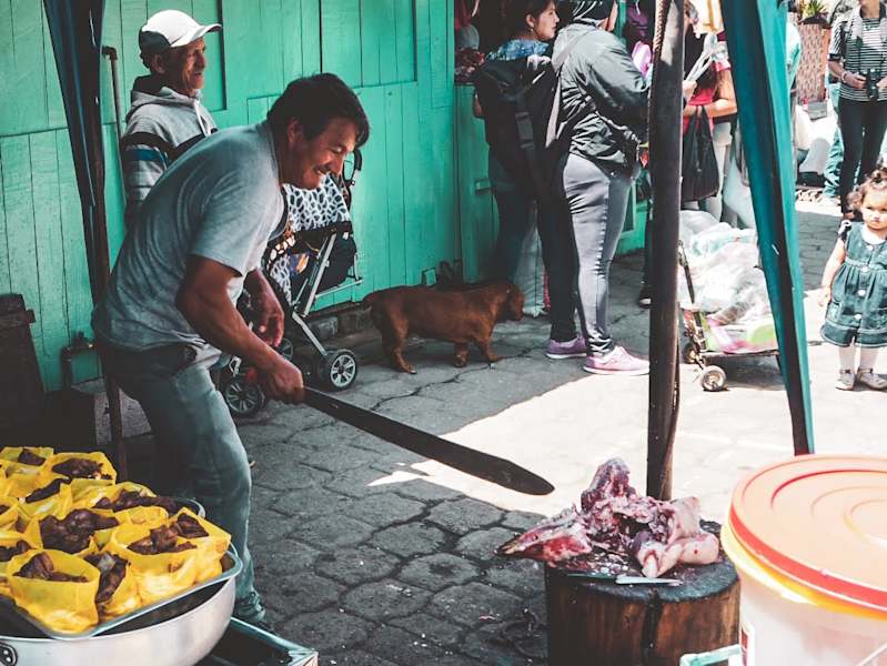 Reisestory Ecuador Intag Valley
